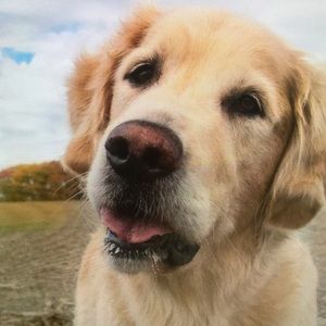 Meet your Posher, Kiara